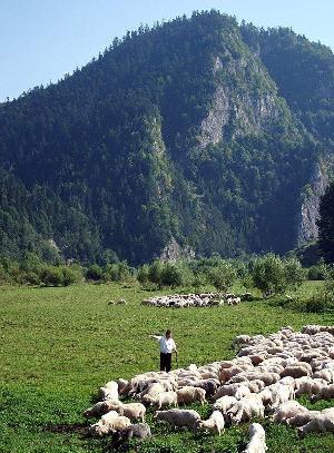 letni wypoczynek z nauką fotografii - Zakopane