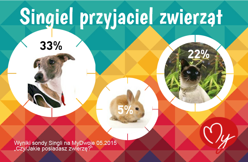 singiel przyjaciel zwierząt