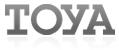 Telewizja Toya