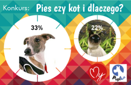 Konkurs - kot czy pies przyjacielem singla. Rozstrzygnięcie konkursu.