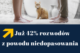 Prawdziwe przyczyny rozwodów - statystyki rozwodowe i trendy